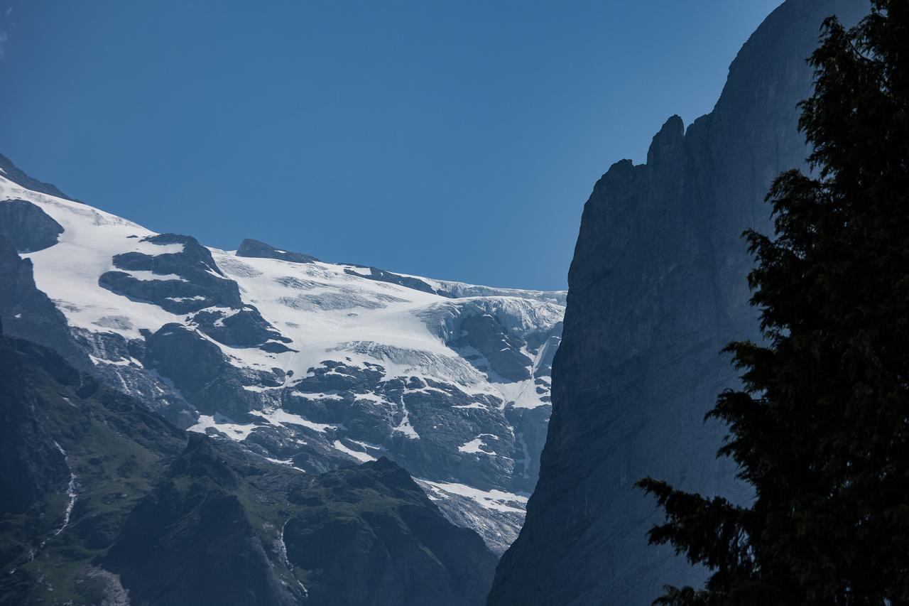 Ferienwohnung Hirschen Grindelwald Exteriör bild